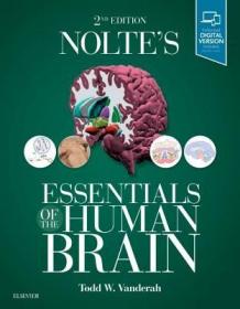 现货 Nolte's Essentials of the Human Brain[9780323529310]