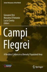 现货Campi Flegrei: A Restless Caldera in a Densely Populated Area (2022)[9783642370595]