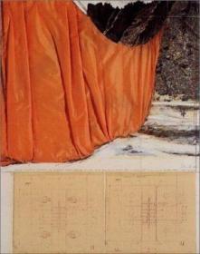 现货Christo and Jeanne-Claude in the Vogel Collection[9780810905726]