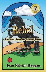 現(xiàn)貨Rebel: Survivors, Sages and Spirited Steeds[9780692052976]