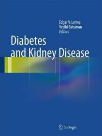 现货 Diabetes And Kidney Disease [9781493907922]