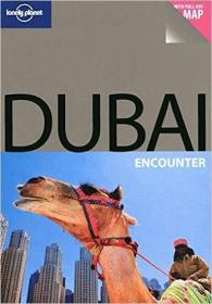 Lonely Planet: Dubai孤独星球旅行指南：迪拜