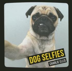 现货Dog Selfies[9781849536455]