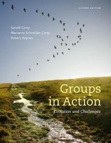 现货Groups in Action: Evolution and Challenges (Workbook)[9781285095066]