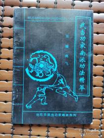 武当功家南派功法精萃