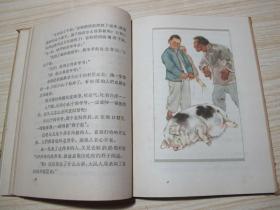 《小山子的故事》(1964年精装·刘继卣彩色插图)