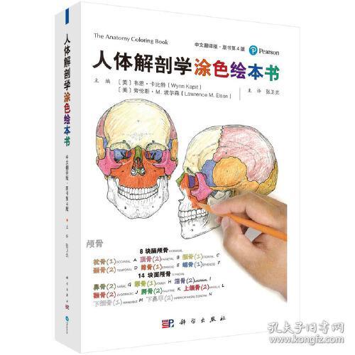 人体解剖学涂色绘本书 中文翻译版·原书第4版