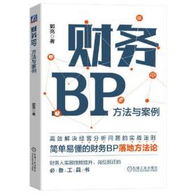 财务BP:方法与案例