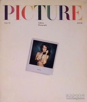可议价 Picture Issue 18 Tableau Photography 图形 Issue 18 Tableau Photography 31010100（日本发货。可代寻代购）