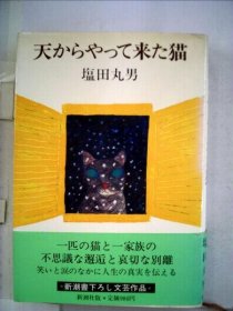 可议价 天からやって来た猫 从天上来的猫 18000220