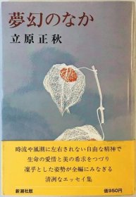 可议价 梦幻のなか 梦幻中 wittech