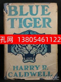 Blue Tiger  dqf001