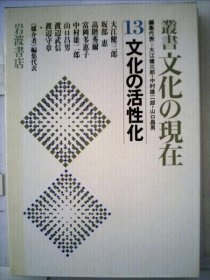 可议价 叢書文化の現在「13」文化の活性化 丛书文化的现在“13”文化的活性化 18000220