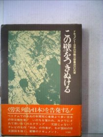 可议价 この壁をつきぬける 穿过这堵墙 18000220