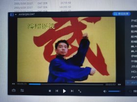 王二平 陈氏太极拳新架二路（2VCD）