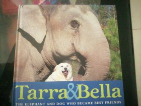 英文原版儿童绘本：Tarra & Bella: The Elephant and Dog Who Beca塔拉和贝拉: 贝卡的大象和狗  (12 开硬精装彩印，品好)