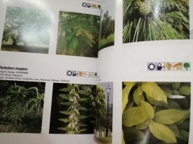 1000 Garden Plants in Singapore 新加坡1000种园林植物(2003年英文原版书，铜版纸彩印，810页，1000余彩色花卉图片，品好)