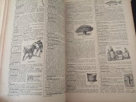 Nouveau Petit Larousse Illustre Dictionnaire Encyclopedique 新拉鲁斯插图百科词典（1931年法文原版书,32开布面硬精装,三面刷红,海量小插图\整版插图\彩页插图,1760页）