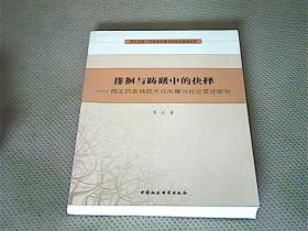 徘徊与踌躇中的抉择：西北民族地区大众传播与社会变迁研究