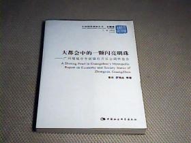 中国国情调研丛书·乡镇卷·大都会中的一颗闪亮明珠：广州增城市中新镇经济社会调研报告