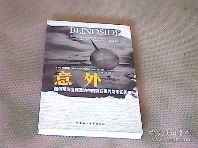 意外：如何预测全球政治中的突发事件与未知因素