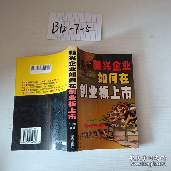 新兴企业如何在创业板上市