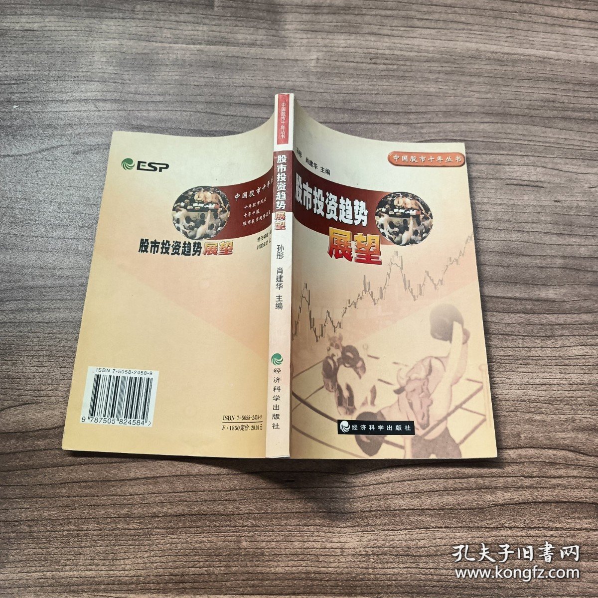 股份投资趋势展望——中国股市十年丛书