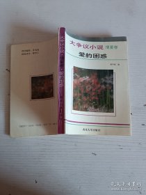 大争议小说·情爱卷爱的困惑