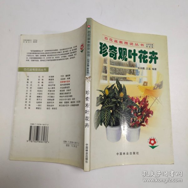 珍奇观叶花卉