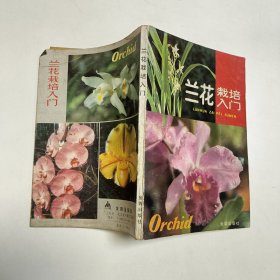 兰花栽培入门