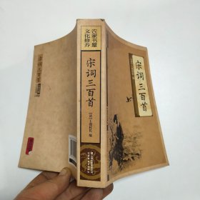 农家书屋 文化修养 ：宋词三百首