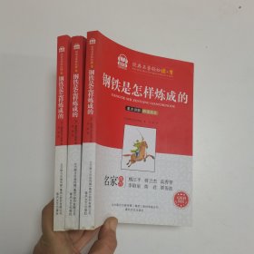 钢铁是怎样炼成的（智听版无障碍阅读）/经典名著轻松读+考