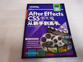 After Effects CS5 中文版从新手到高手（附DVD-ROM光盘1张）