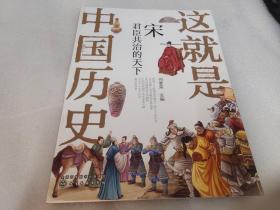 这就是中国历史——宋：君臣共治的天下