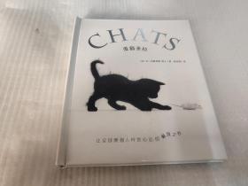 爱猫圣经