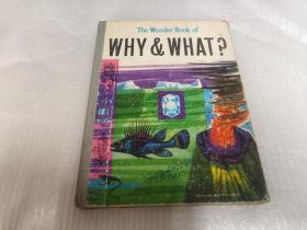The Wonder Book Why & What?(精装 原版)