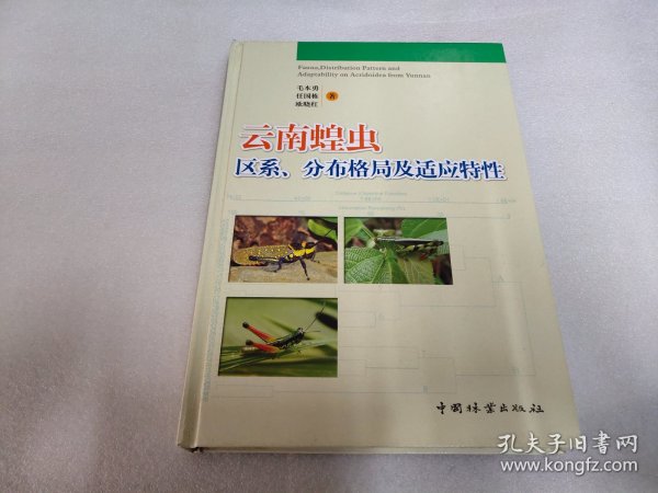 普通高等教育“十一五”国家级规划教材：云南蝗虫区系、分布格局及适应特性