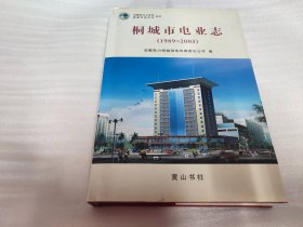 桐城市电业志 1989—2003 16开精装