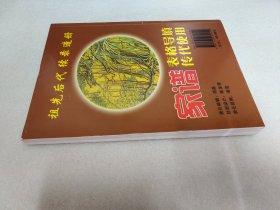 家谱导填与姓氏起源