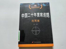 中国二十年重案追踪（打黑案）