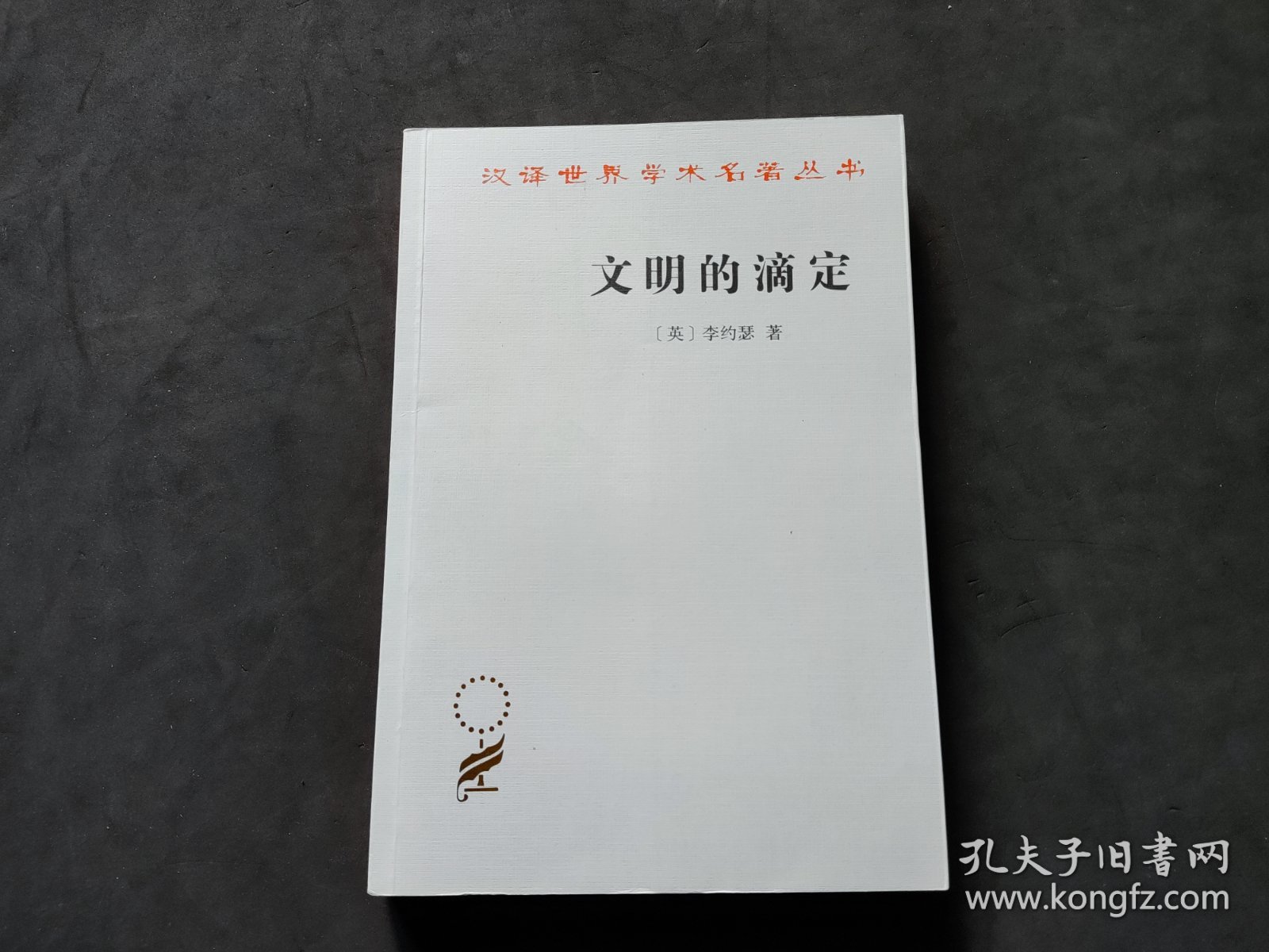 汉译名著本16：文明的滴定