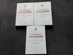 中华人民共和国民法典重点条文实务详解（全三册）(全3册)