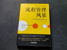 流程管理风暴 EBPM方法论及其应用