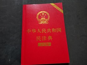 中华人民共和国民法典（大字版32开大字条旨红皮烫金） 2020年6月新版