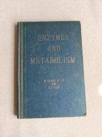 ENZYMES AND METABOLISM