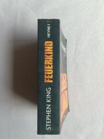 STEPHEN KING FEUERKIND