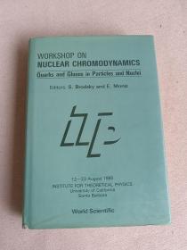 WORKSHOP ON NUCLEAR CHROMODYNAMICS QUARKS AND GLUONS IN LPARTICLES AND NUCLEI