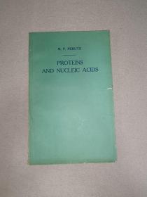 PROTEINS AND NUCLEIC ACIDS 蛋白质与核酸