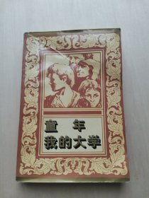 童年 我的大学  俄国 高尔基名著系列 小说作品  慧东 译  花山文艺出版社