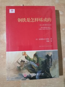钢铁是怎样炼成的   全新未拆封